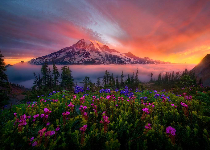 Nature