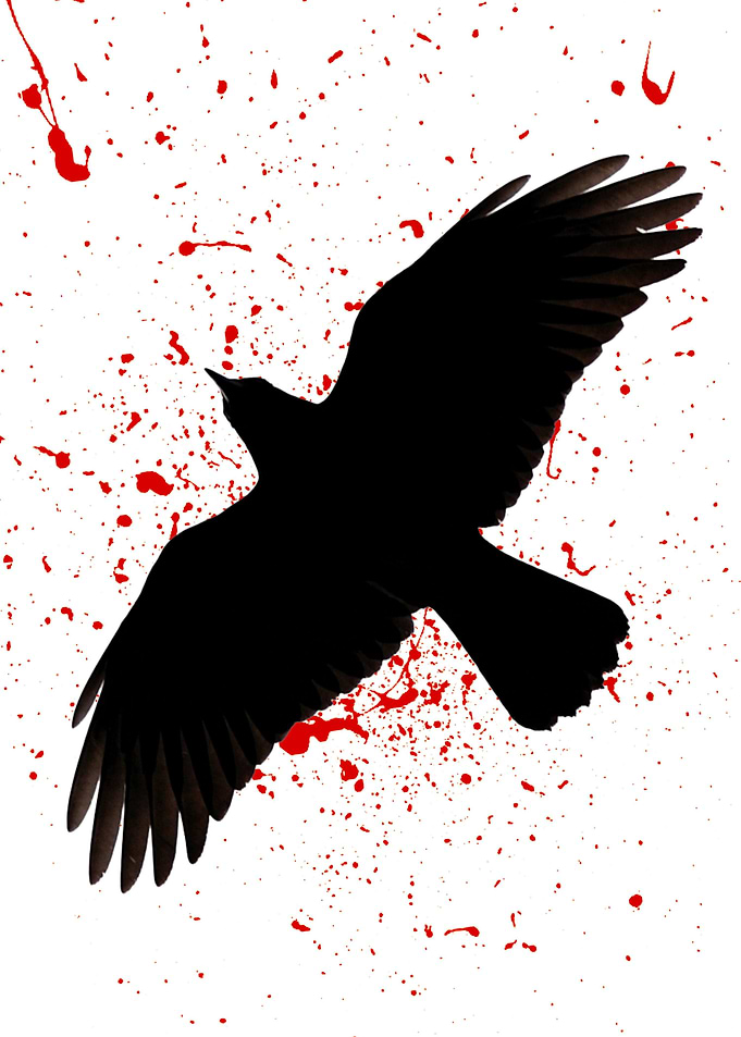 bird 3