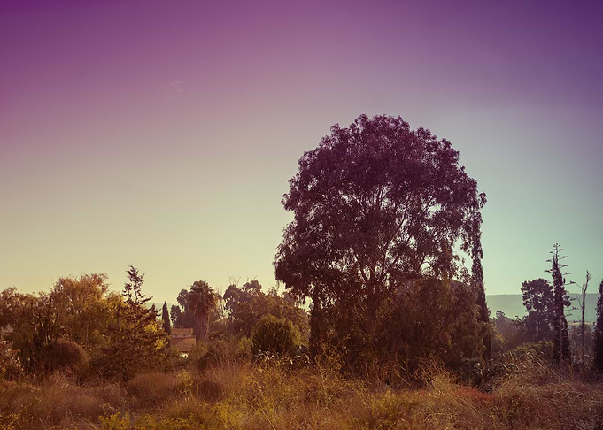 Arid Background Color Colo