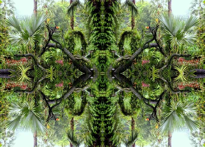 Singapore 2 East mirrored