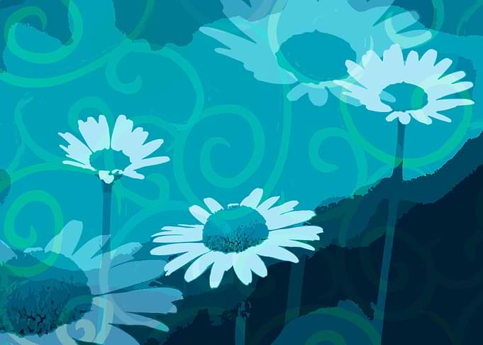 Daisies on Aquamarine