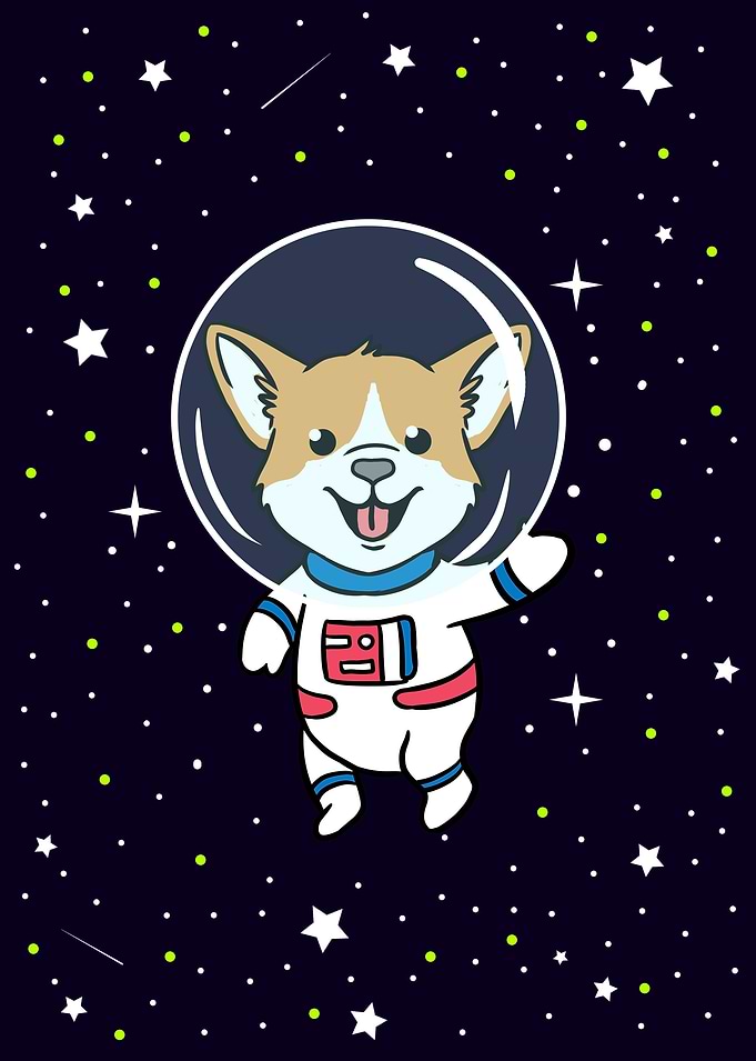 Corgi In Space