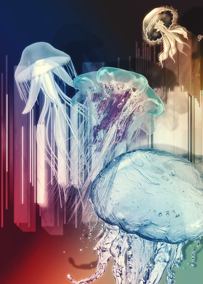 Eternal Jellyfish