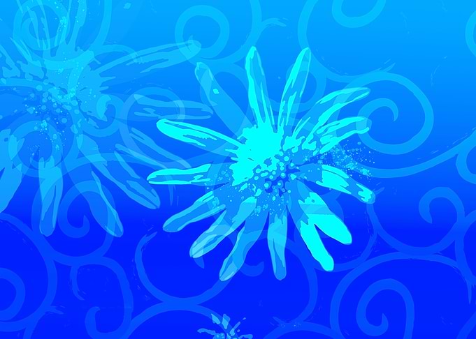 Daisies Flowers Texture 1