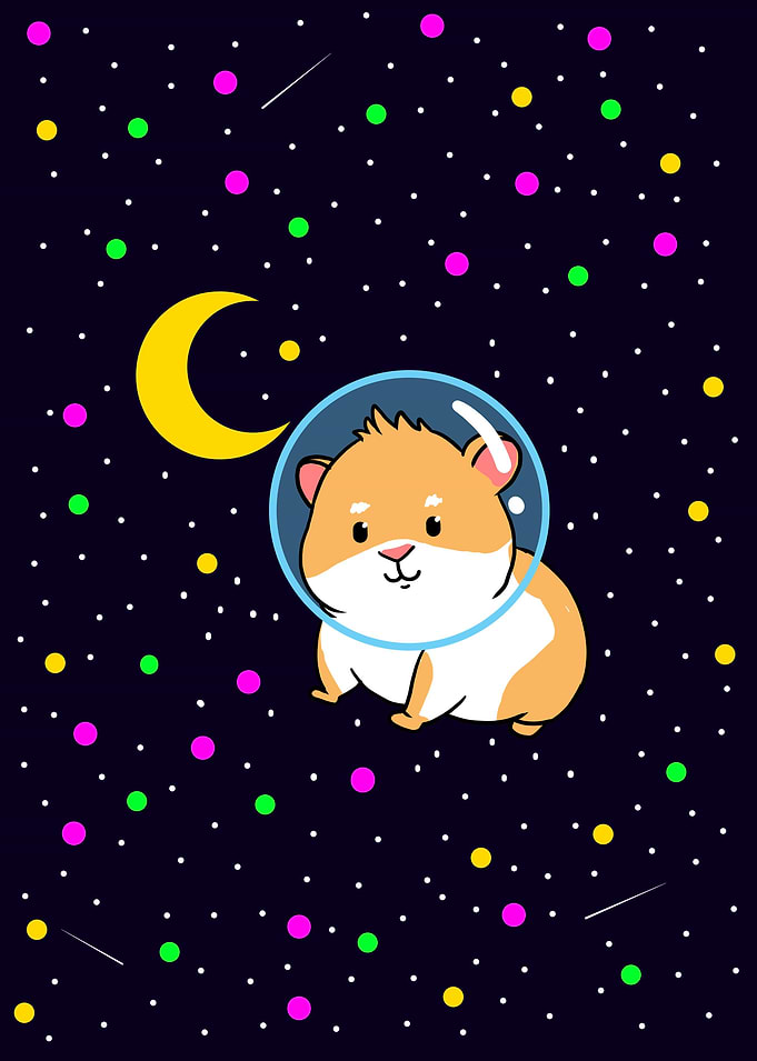 Guinea Pig In Space