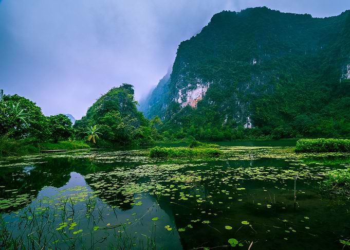 Nature