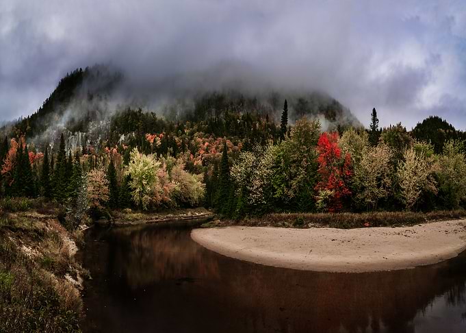 Nature