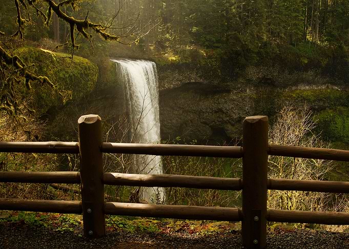 Nature