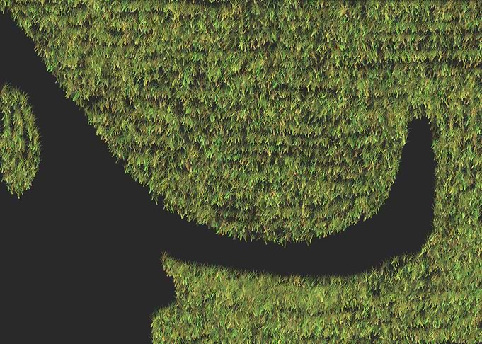 Grassy