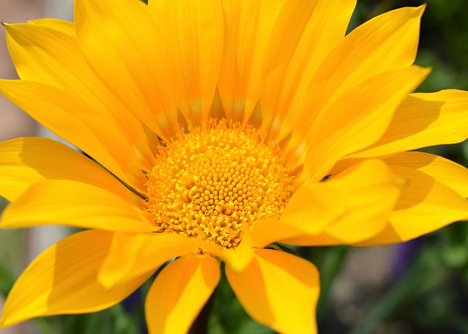 a burst of sunshine