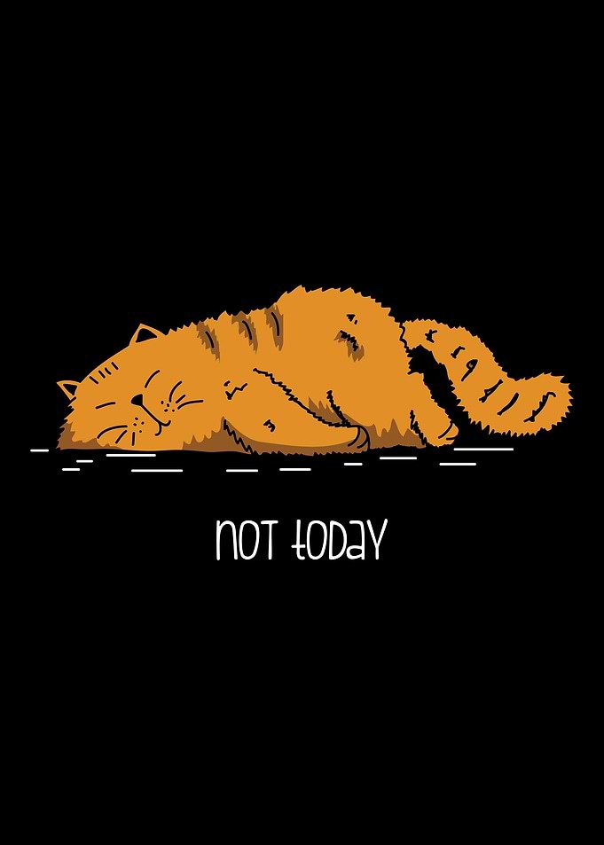 Not Today Cat