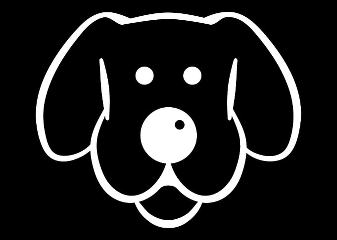 Dog head