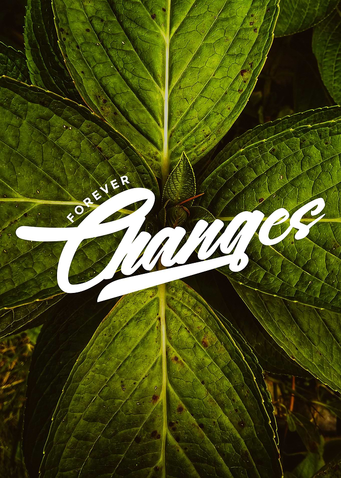 Forever Changes