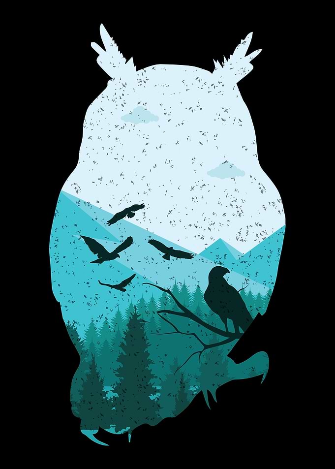 Owl in the Woods