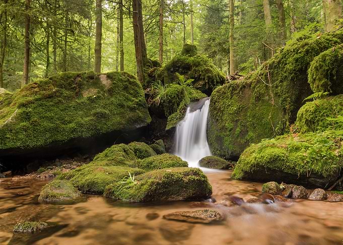 Nature