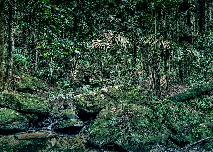 Nature