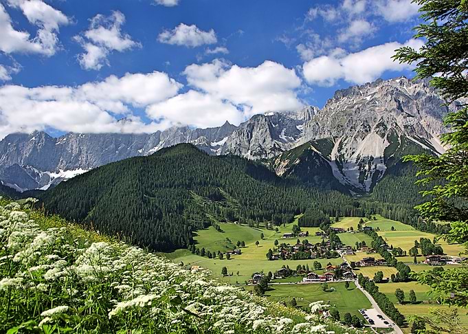 Nature