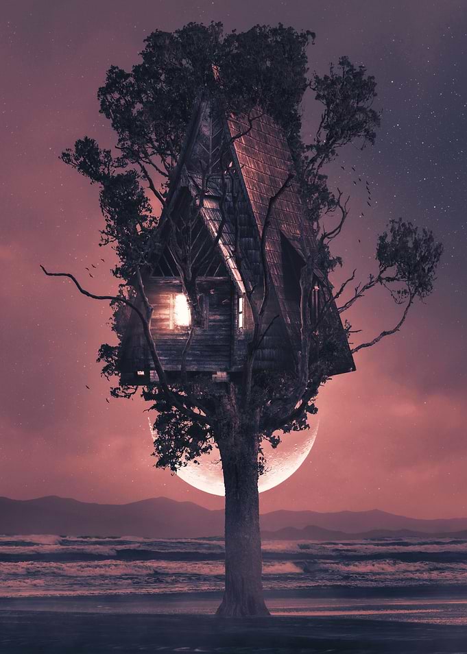 The Treehouse