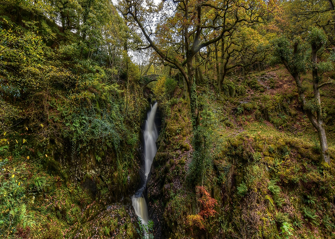Nature