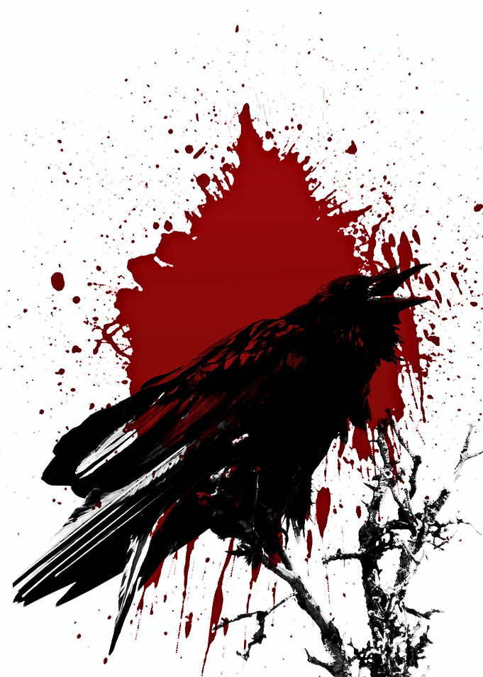 bird 7