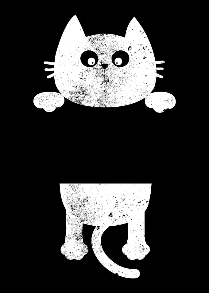 Cat bag