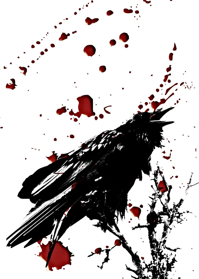 bird 5