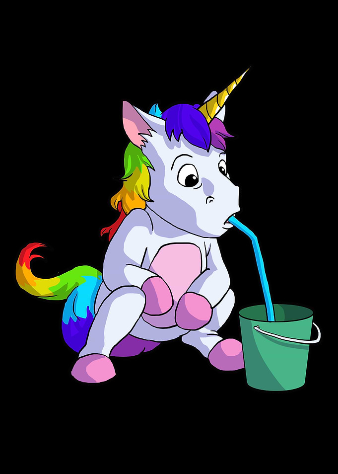 Unicorn Lover