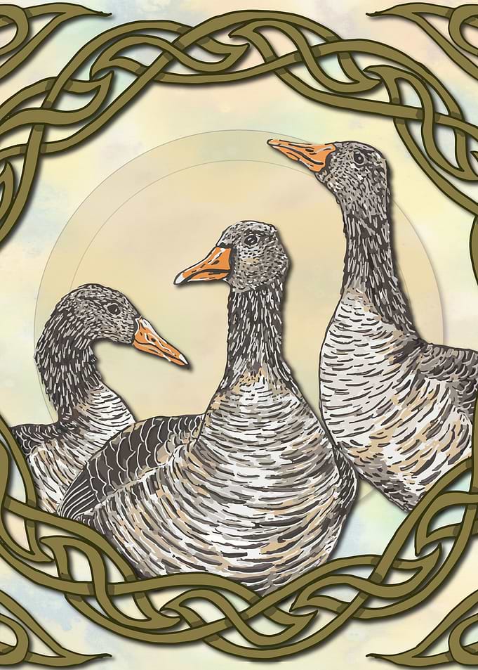 Celtic Goose