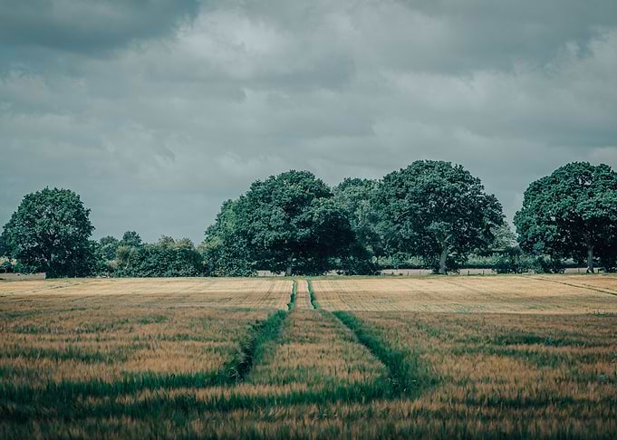 Farming lines