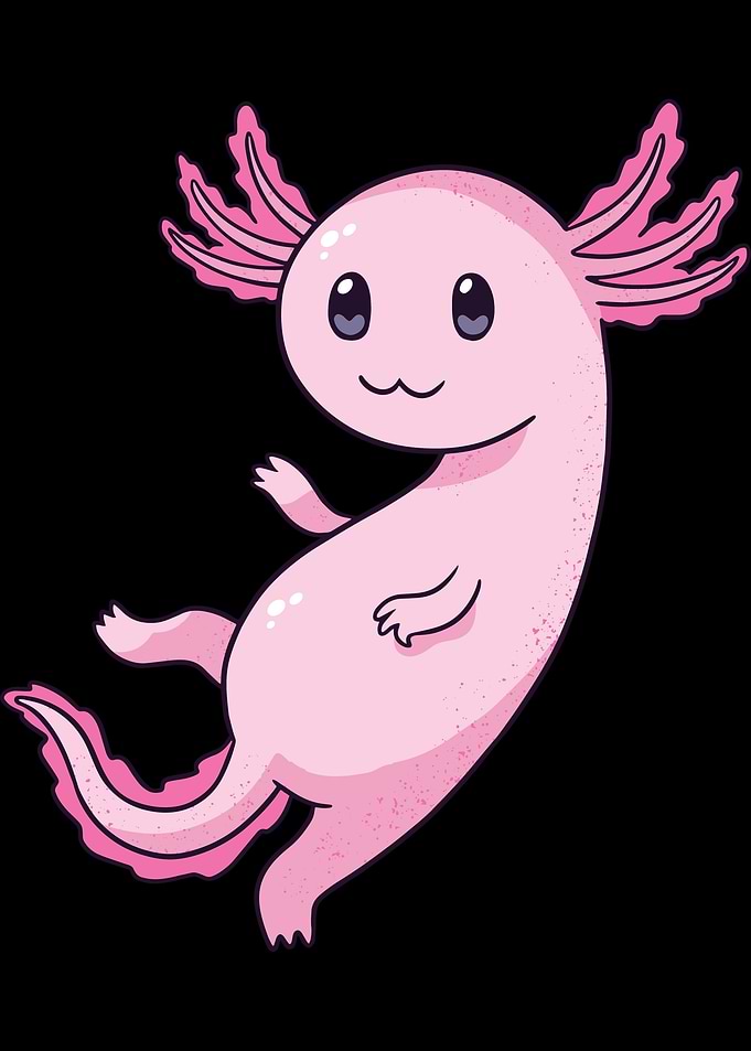 cute axolotl