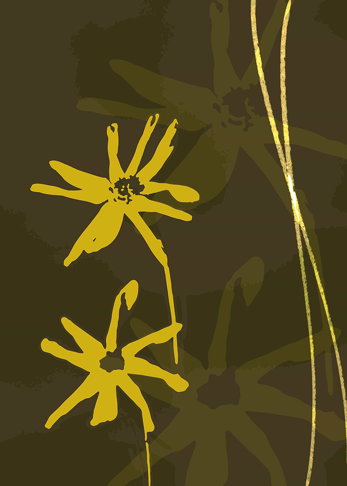 Chamomile flowers