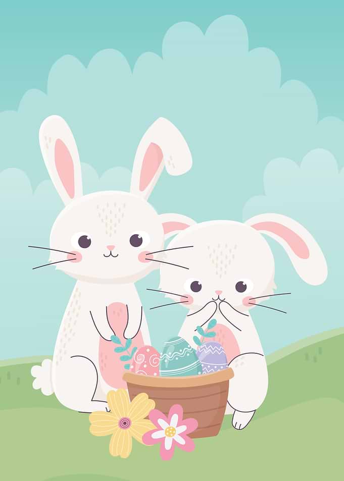 Cute rabbits