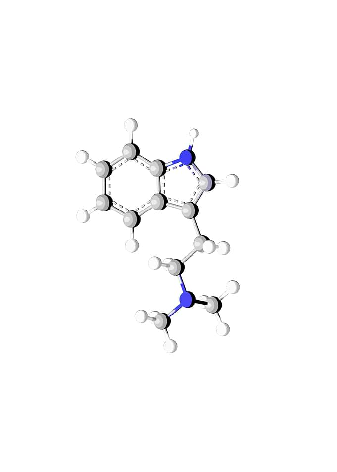 DMT