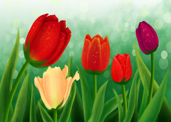 Tulips Flowers painted