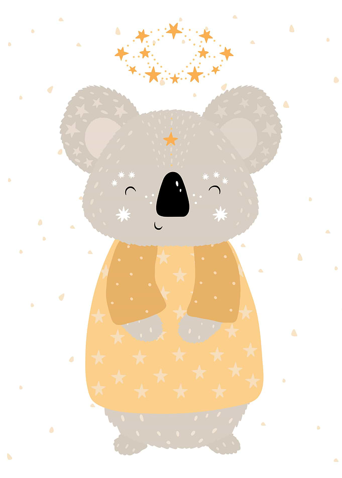 Cute Koala