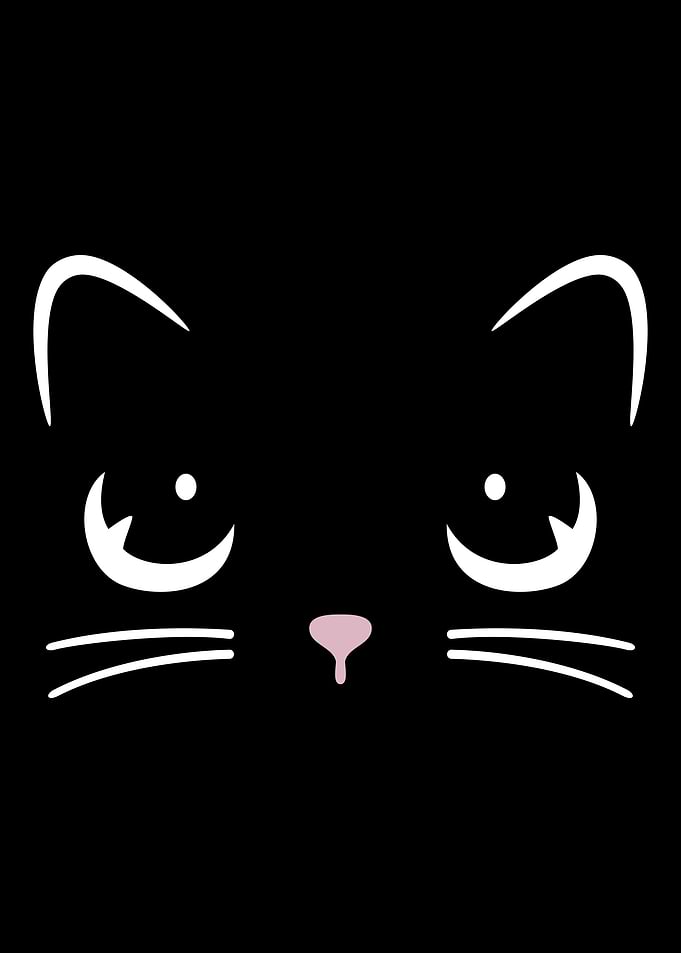 Face of a cat