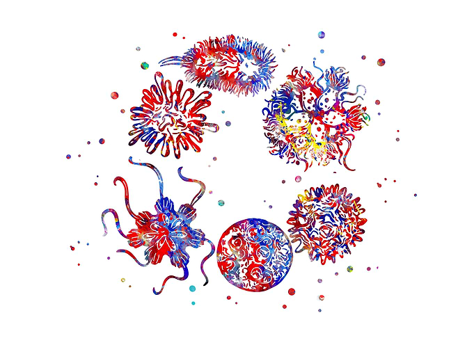 Human viruses and microbes