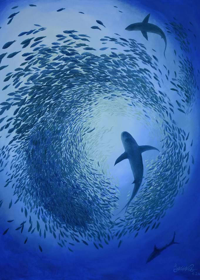 Shark Attack