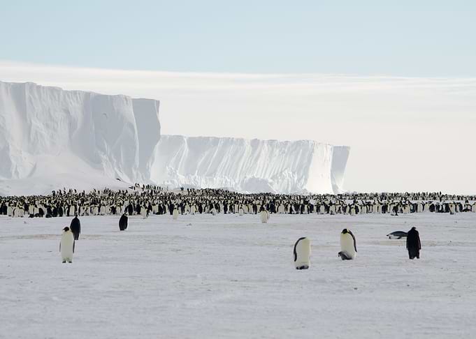 Ice Shelf