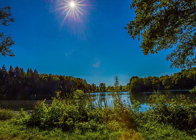 Nature