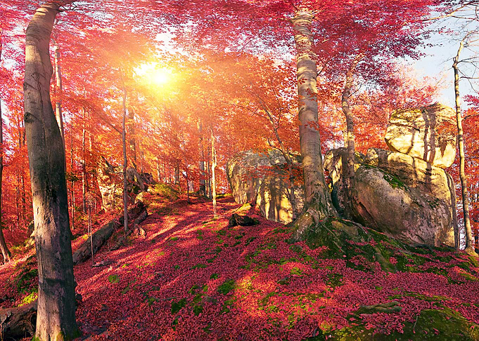 Nature