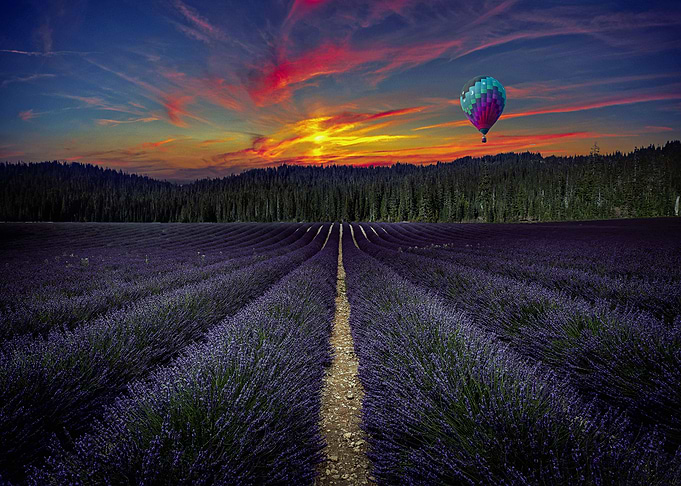 Nature