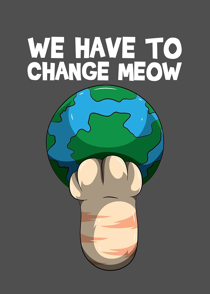We Have To Change Meow S
