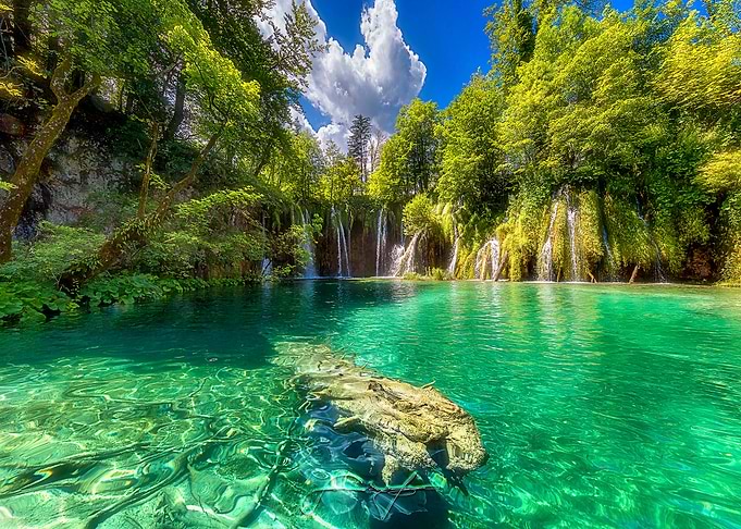 Nature