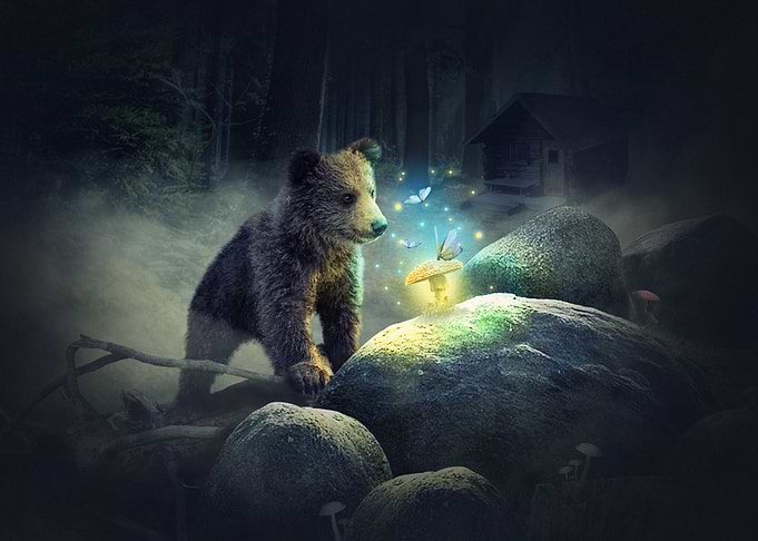 Bear in the forest