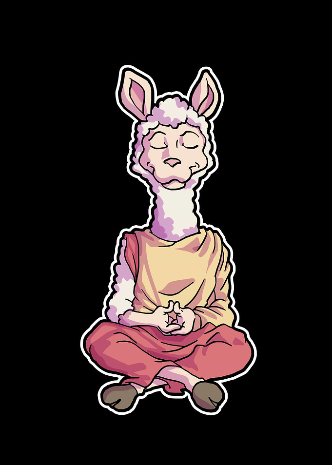Llama Alpaca