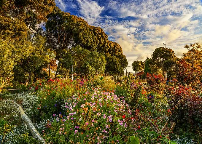 Nature