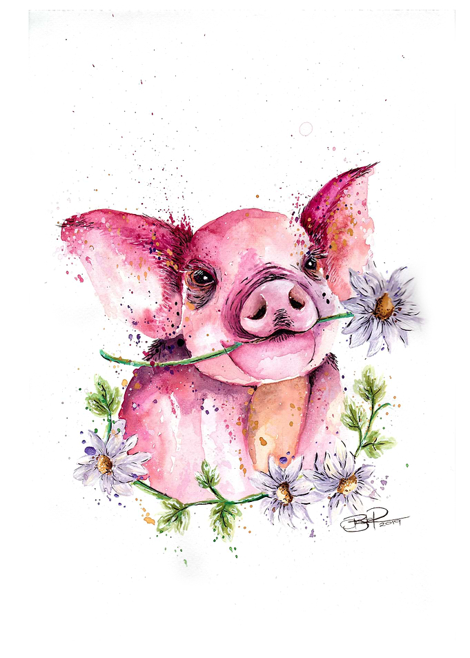 Pink Pig