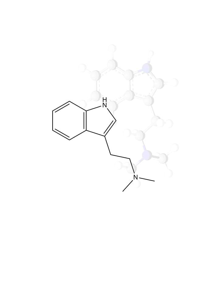 DMT
