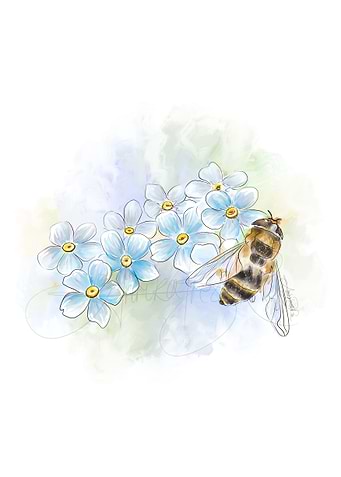Little Bee